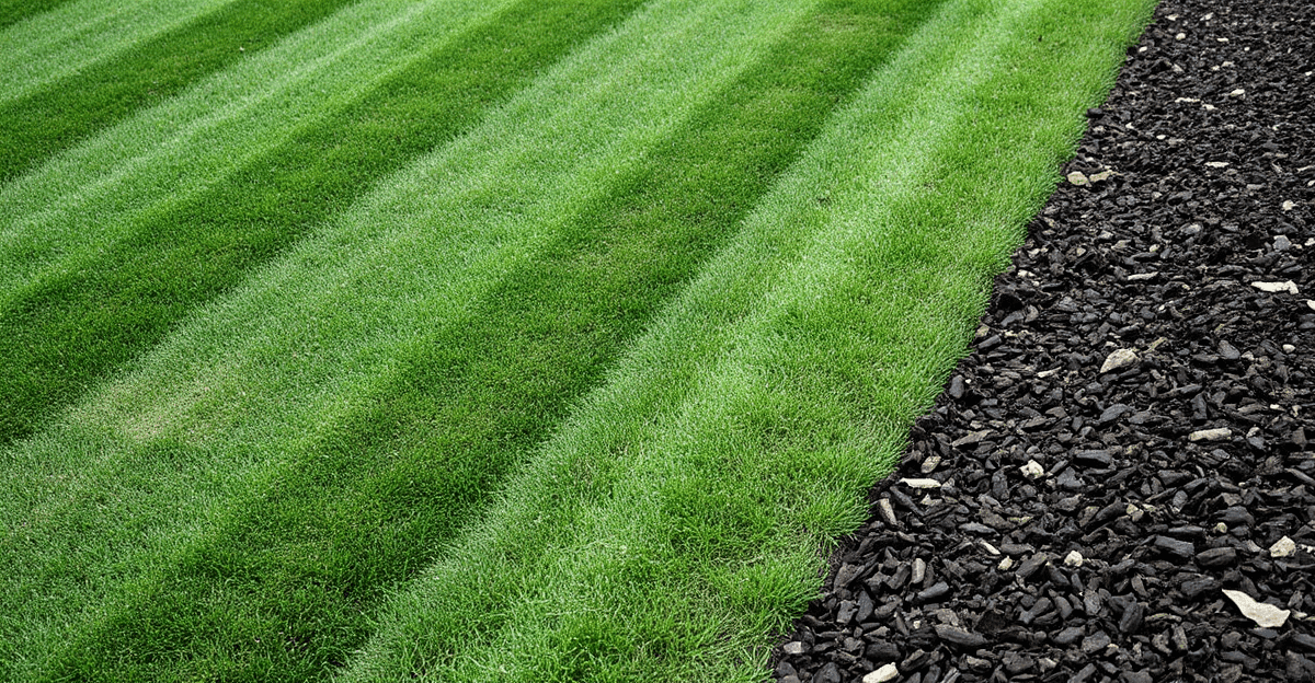 Landscaping Leads: How to Keep Your Calendar Full Year-Round