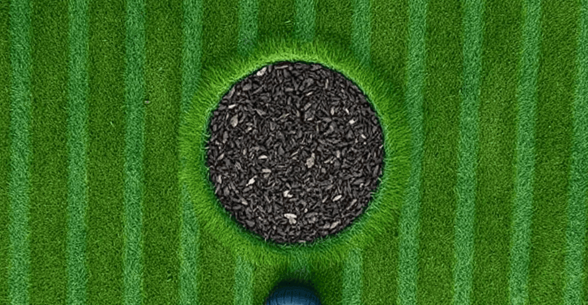 Website for Landscaping Business: What to Look For